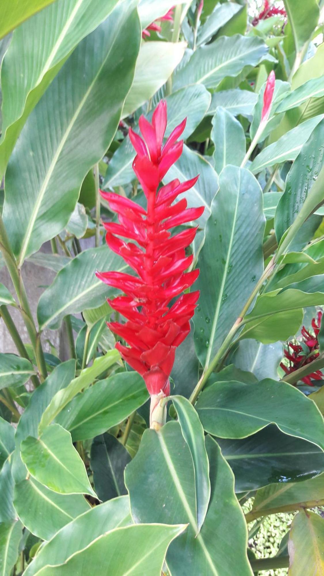 ホテル Quintal Da Mata サンセバスチャン エクステリア 写真