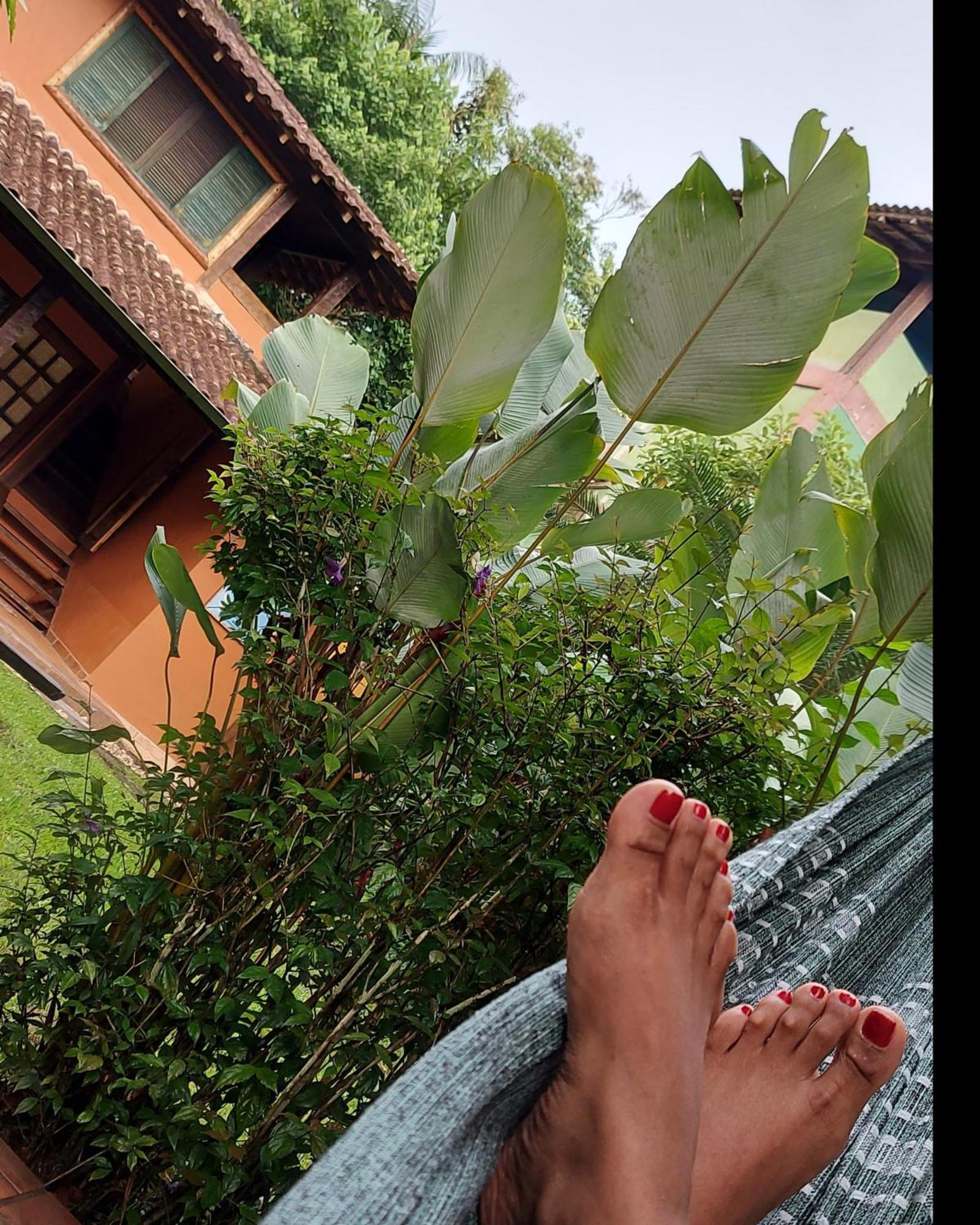 ホテル Quintal Da Mata サンセバスチャン エクステリア 写真